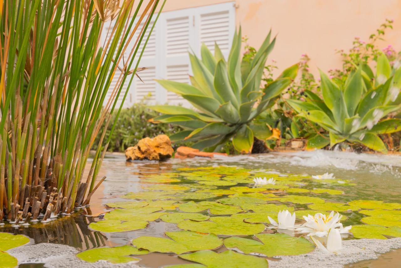 Villa Dolce Vita Portocolom  Exterior foto